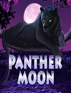 เปิด สล็อต: พร้อมสัมผัสประสบการณ์ใหม่ในโลกเกม